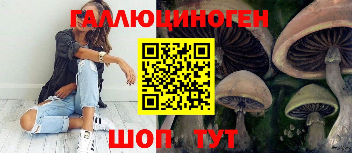 Псилоцибиновые грибы мицелий Кизилюрт