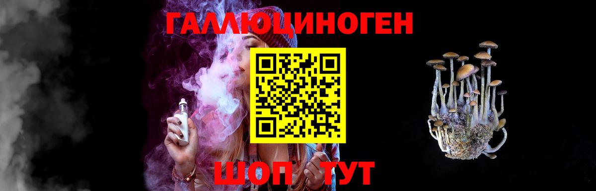 Псилоцибиновые грибы Psilocybine cubensis  Вход с VPN  Псилоцибиновые грибы мицелий  Кизилюрт 